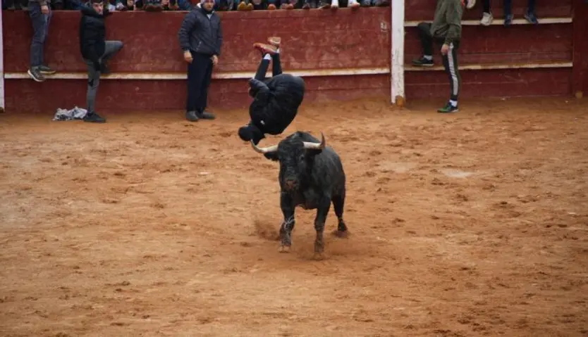 Capea matutina lunes de Carnaval 2025, con astados de Cano y Victorino en Ciudad Rodrigo