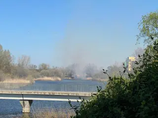 Incendio de vegetación en Santa Marta (2)