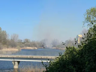 Incendio de vegetación en Santa Marta (2)