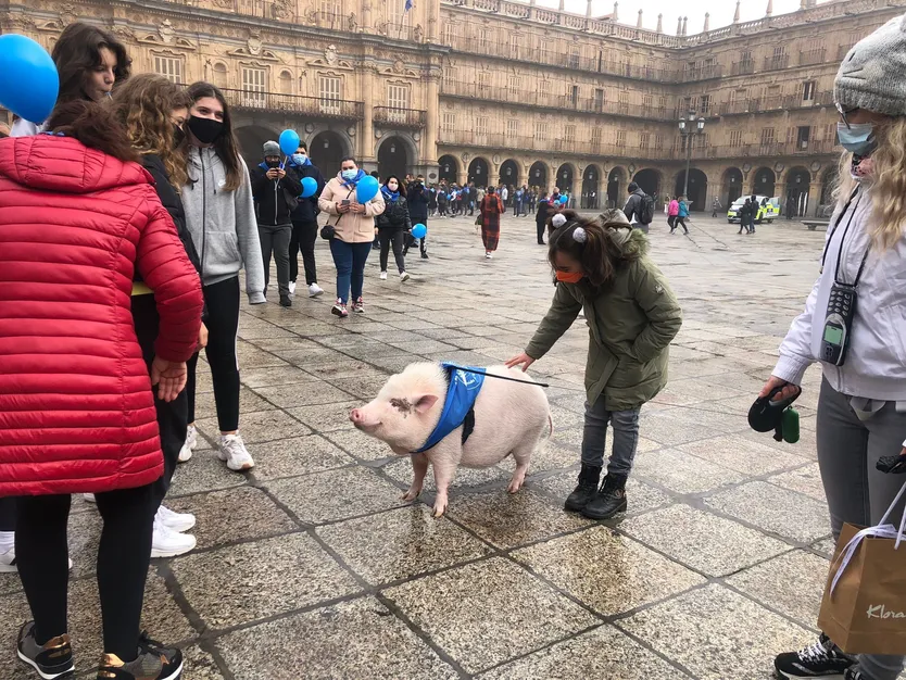 Marcha solidaria para dar visibilidad a la diabetes en Salamanca el 14 de noviembre de 2021. Foto SALAMANCA24HORAS (6)