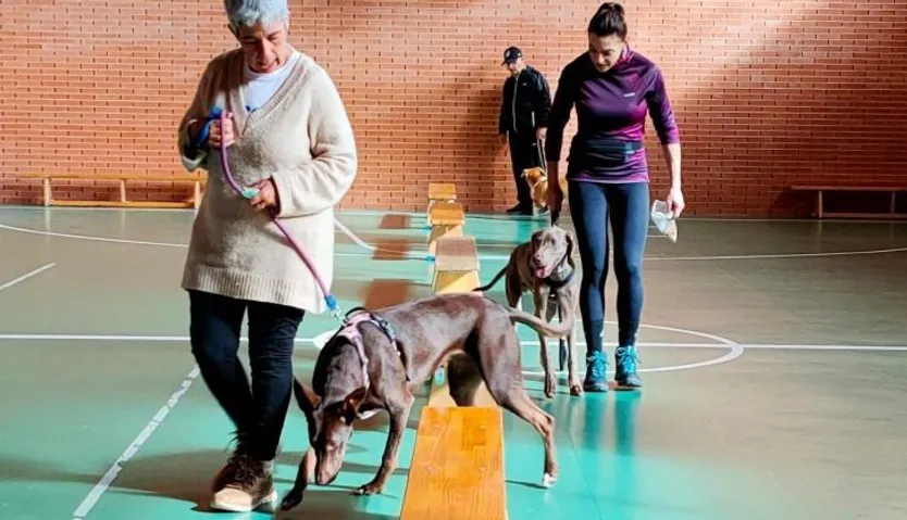 Carbajosa, Taller Adiestramiento Canino (7)
