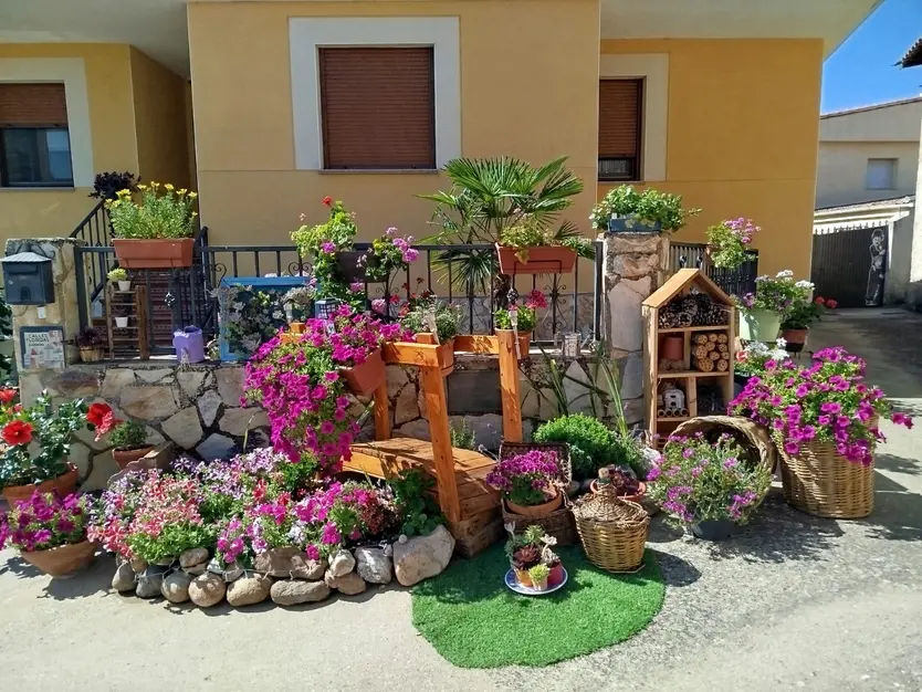 Juzbado Premio Calles Floridas (3)