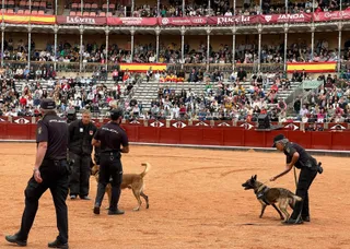 Exhibición unidad canina de la Policía Nacional en La Glorieta. Foto Andrea M.