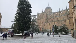 La nieve anega carreteras y tiñe de blanco Salamanca capital y provincia: imágenes de la nevada de este 28 de enero