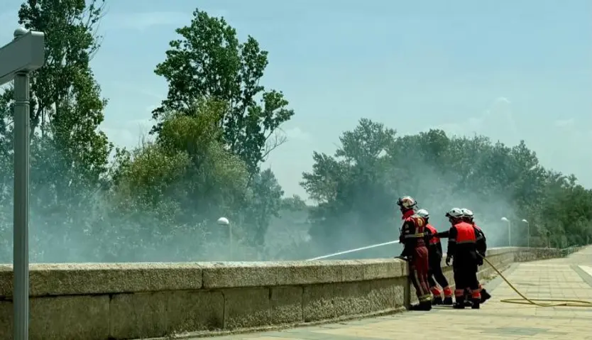 Incendio de pasto junto al puente de Enrique Estevan