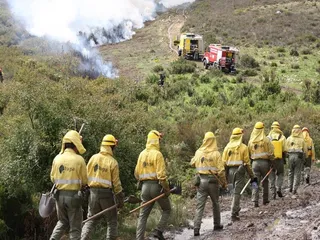 Controlado un incendio en San Felices de los Gallegos