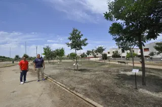 Nueva zona verde en Doñinos 