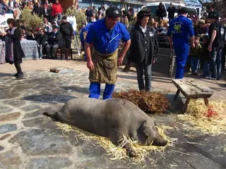 Seis casetas ofrecerán productos del cerdo junto a la plaza donde se celebra la matanza