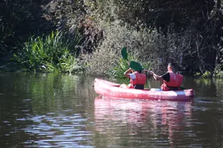 Piraguas en el Puente Gudino