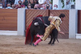 Cayetano, golpeado en la plaza de Guijuelo