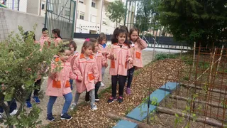 20180605 110707