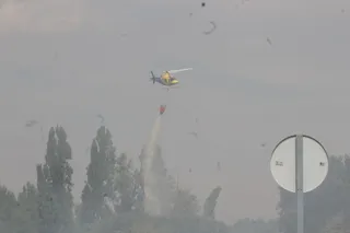 Incendio forestal en Buenavista. Fotos Carlos H.G