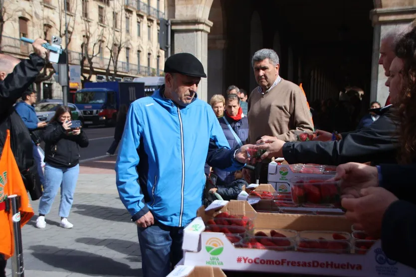 Colas interminables en Gran Vía por el reparto gratuito de fresas en Salamanca