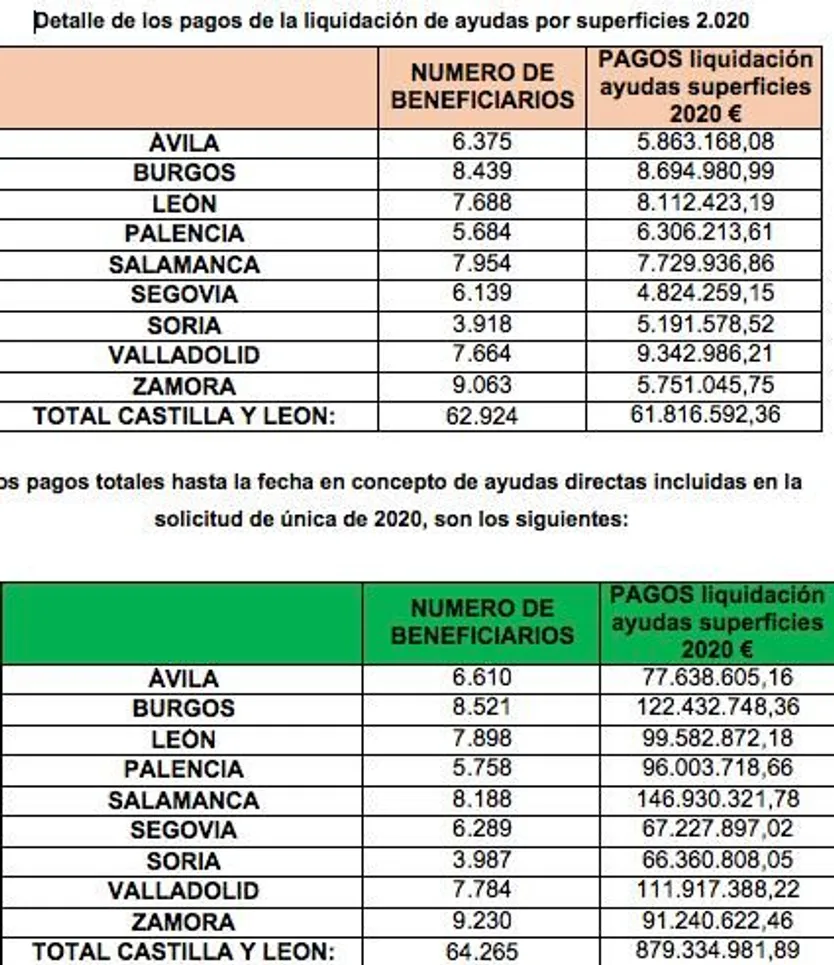 Ayudas por superficie