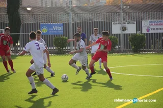 IMG 4537
