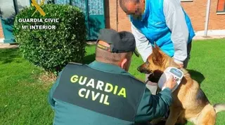 Operación can