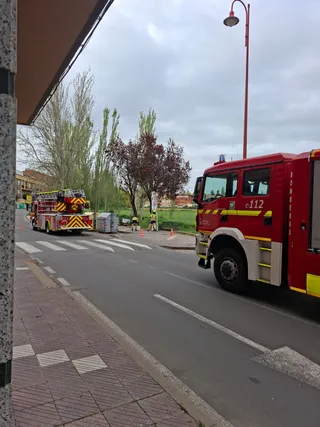 Hasta dos dotaciones de Bomberos acuden a Santa Marta por un enjambre de abejas | S24H