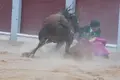 Imágenes de la cogida del banderillero Vicente Herrera en Guijuelo. Fotos Juanes 