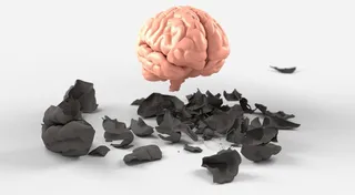 Cerebro