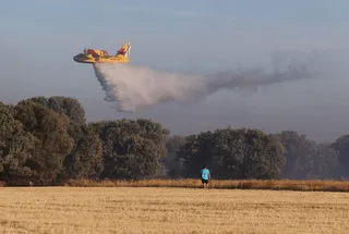 El incendio de Paredes de Monte (Palencia) alcanza el monte El Viejo ayudado por las fuertes rachas de viento Una veintena de medios aéreos y terrestres tratan de combatir las llamas que han dejado una densa humareda, visible desde la capital | Brágimo (Ical)