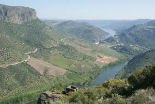 Creación de un único órgano colegiado de participación medioambiental para mejorar en eficacia y eficiencia