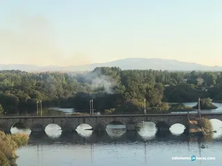 Incendio aLBA (3)