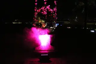 Espectáculo de luces 'Huerto Mágico'
