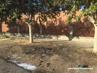 Coche calcinado en la calle Cabrera