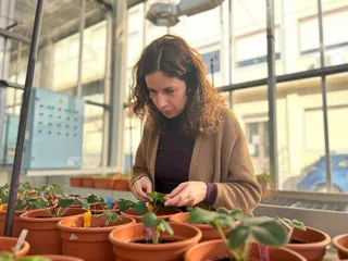 Lucía Santos, investigadora en el IRNASA-CSIC, e impulsora del proyecto ‘Contaminación de microplásticos en suelos agrícolas’