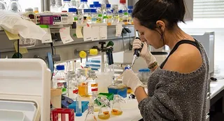 La Universidad de Salamanca duplica la financiación obtenida en el programa marco europeo de investigación e innovación