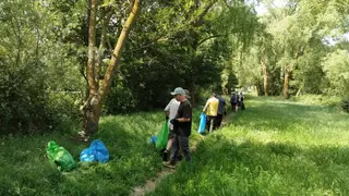 Recogida de basura en Alba de Tormes | Ayuntamiento Alba de Tormes