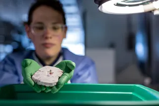 La científica del Instituto Allen Rebecca Hodge examina una porción de cerebro humano. Esta es una de varias muestras de cerebro utilizadas en un estudio de comparación de tipos de células cerebra