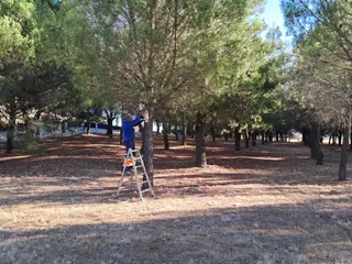 Instalación cajas nido
