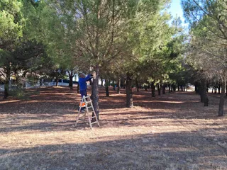 Instalación cajas nido