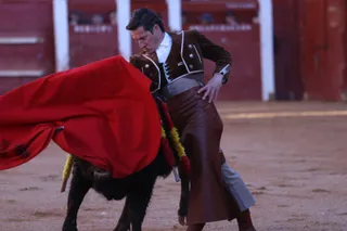 Festival taurino del Sábado en el Carnaval del Toro 2026 de Ciudad Rodrigo | Mateo G.J.