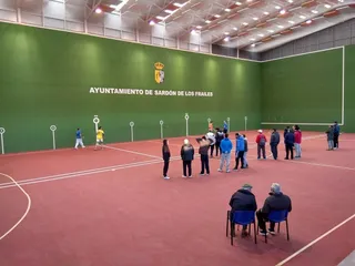 Frontenis sardón