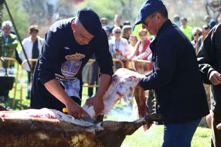 Matanza Tradicional de Santa Marta | Mateo G.J.