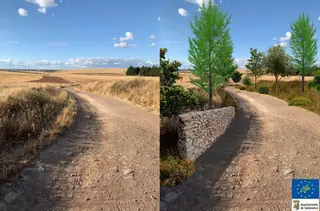 Via de la plata 3