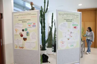 Jornadas sobre cultivos emergentes del CIALE