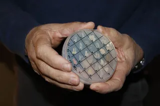El vicerrector de Investigación y Transferencia presenta el proyecto internacional ‘MicroMundo’ para la búsqueda de nuevos antibióticos.