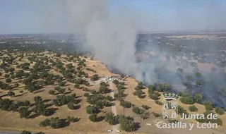 Un camión en llamas provoca un incendio forestal en Boada