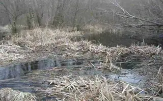 Bajo-Tormes organiza un Encuentro Infantil y reivindica la recuperación del río