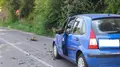 La caída de una rama obliga a cortar parte de la carretera entre Candelario y Béjar - Ayuntamiento de Candelario