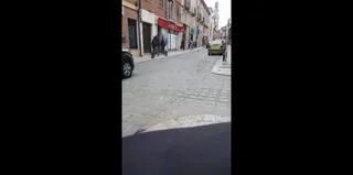 Toro pelea 2