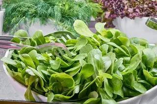 Spinach 4288627 960 720