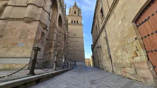 Cae la cabeza de una gárgola de la fachada de la Catedral de Salamanca | Andrea Mateos