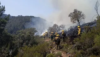 Incendio forestal en Monsagro en 2022. Foto Atbrif