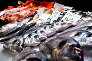 Pescado fresco y colorido en una pescadería.