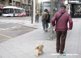 Parada de autobús | Salamanca24horas
