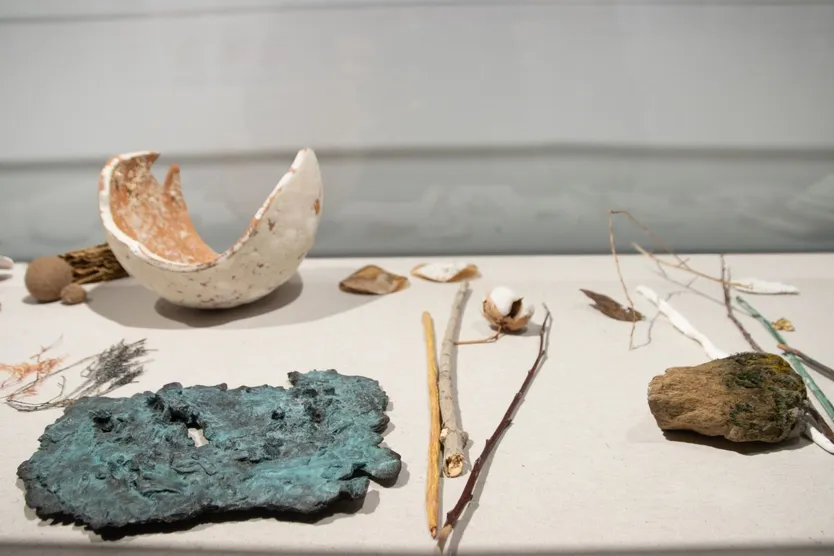 El Centro Cultural Hispano Japonés de la USAL inaugura la exposición “Haikugráfica: Instantes de la naturaleza”